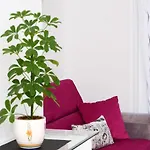 Apartment Luxury Marionik *